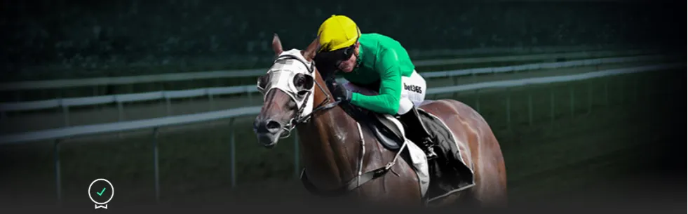 郑加恒晋级,赛义德,莫迪国际赛,世界杯直播,2026世界杯,直播频道,观看指南,赛程安排