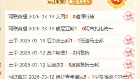美冠杯关键对决：老虎大学全力一搏